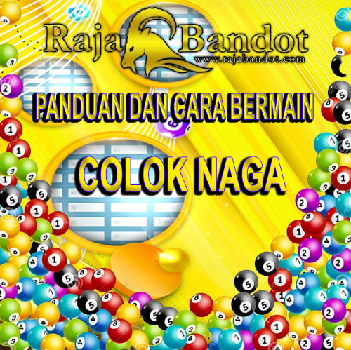 CARA BERMAIN COLOK NAGA