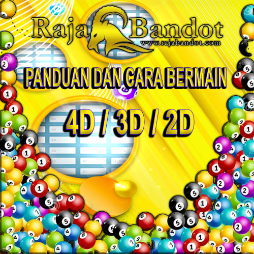 CARA BERMAIN 4D/3D/2D